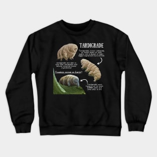 Animal Facts - Tardigrade Crewneck Sweatshirt